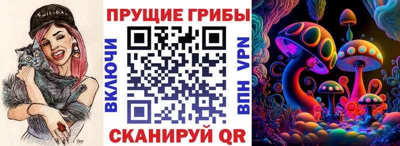 купить   Кыштым  Псилоцибиновые грибы Cubensis 