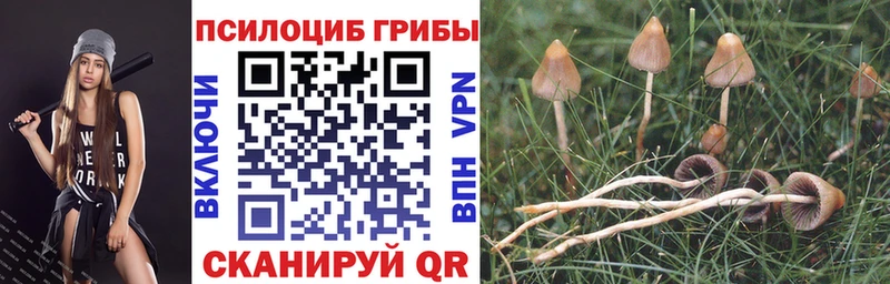 Псилоцибиновые грибы мицелий Кыштым